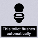 this-toilet-flushes-automatically~
